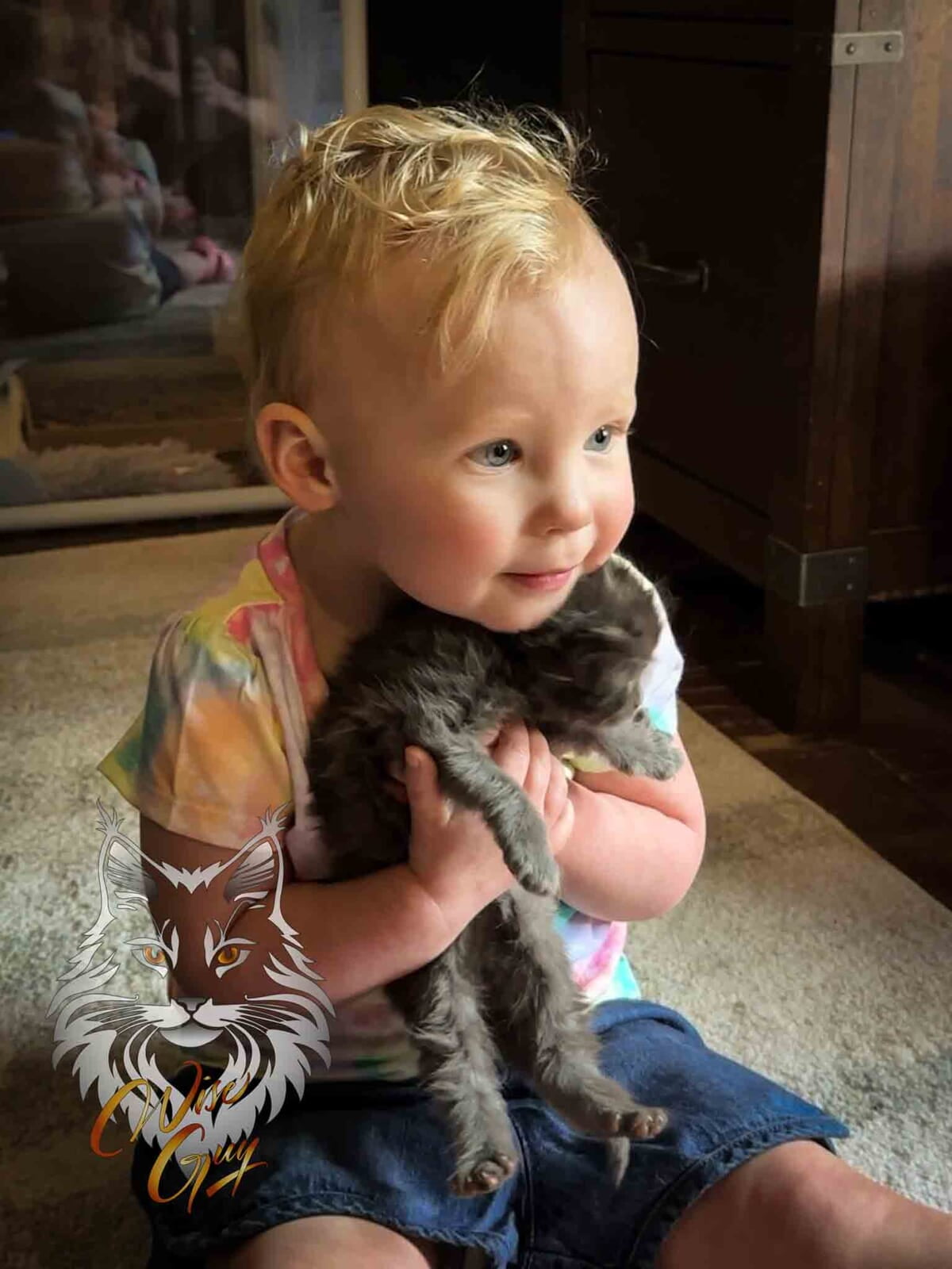 toddler holding kitten